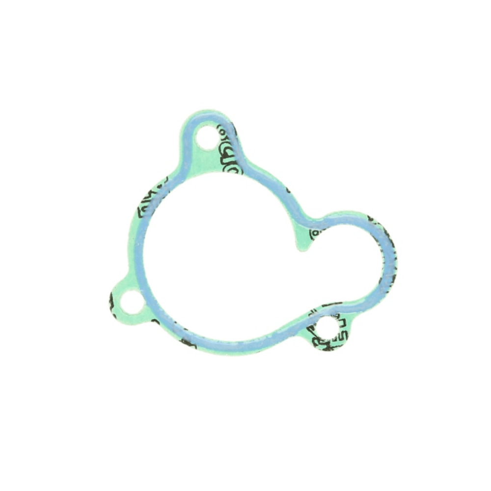 Brtva vodene pumpe ATV Linhai 260 300…