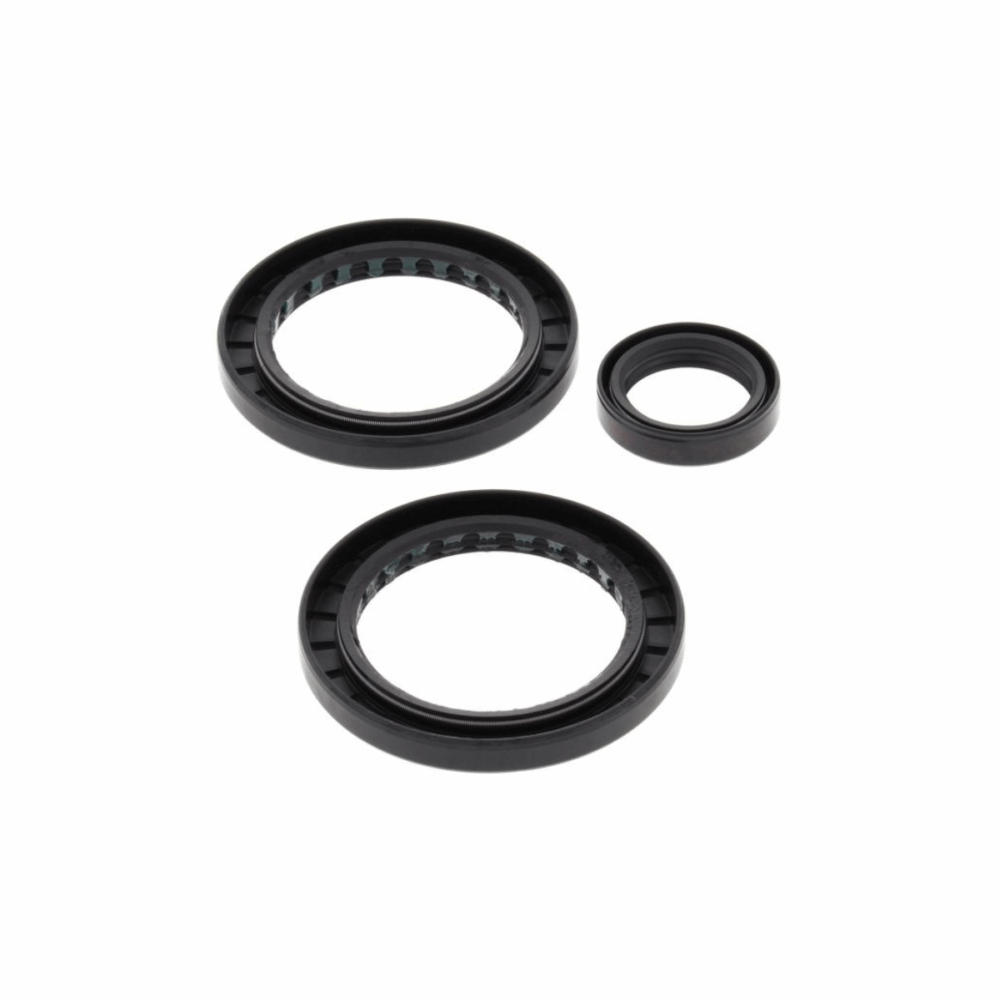 Set za reparaciju zadnjeg diferencijala ATV Polaris 325 500 700…