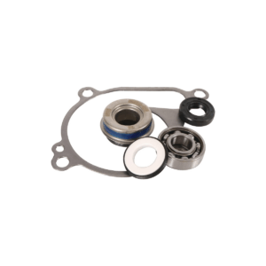 Set za reparaciju vodene pumpe ATV Kawasaki Brute Force 750 (2012/2021)