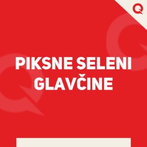 PIKSNE SELENI GLAVČINE