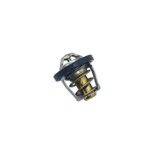 Termostat ATV CFMOTO CF