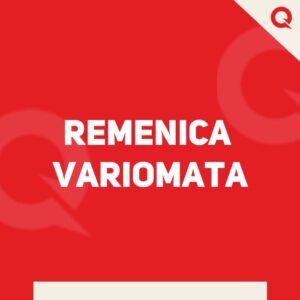 REMENICA VARIOMATA