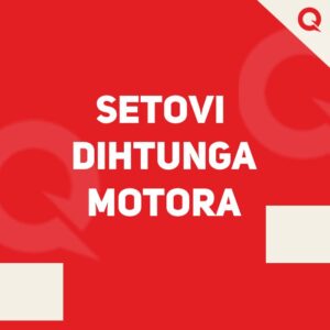 SETOVI DIHTUNGA MOTORA